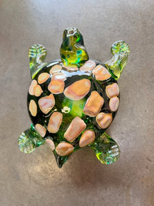 Johnny The Turtle