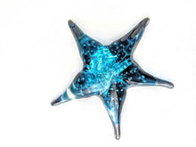 Load image into Gallery viewer, Starfish
