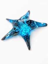 Load image into Gallery viewer, Starfish
